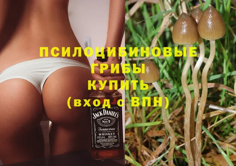 Галлюциногенные грибы Magic Shrooms Киренск