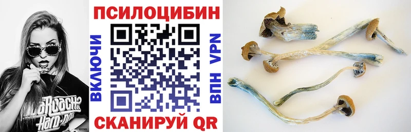 Псилоцибиновые грибы Cubensis  Киренск 